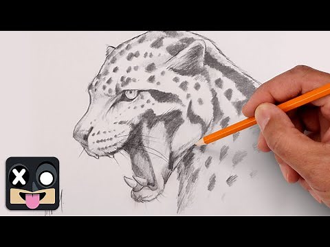 How To Draw a Leopard | Sketch Tutorial