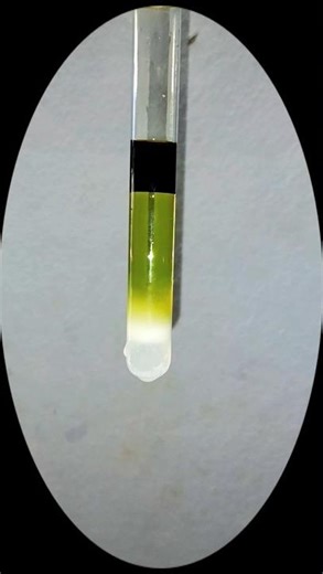 🖤💚💛🤍#shorts #science #chemistry #practical #explore #experiment #school #art #love #creative #lab