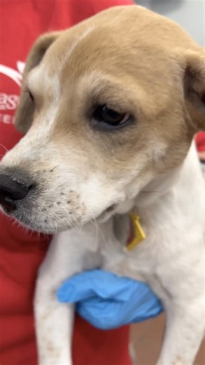 29K views · 2.5K reactions |  Will these adorable faces still be...