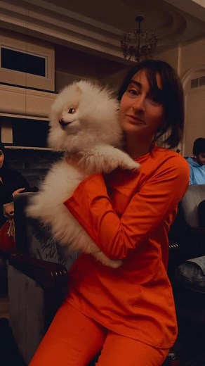 ვგიჟდები ოთხფეხებზე ✨#foryou #foryourpage