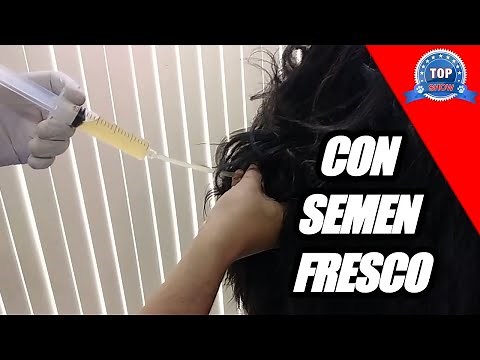 INSEMINACIÓN ARTIFICIAL EN PERROS