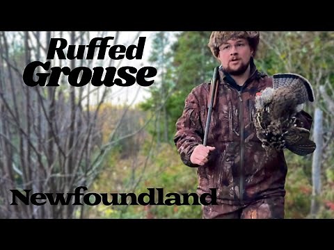 Ruffed Grouse Hunting - Catch & Cook ( Simple & Delicious Recipe ! )