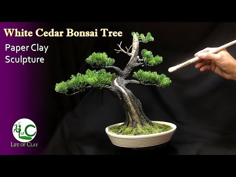 Sculpting Bonsai Tree using Paper Clay _ White cedar _ Thuja occidentalis @LifeofClay