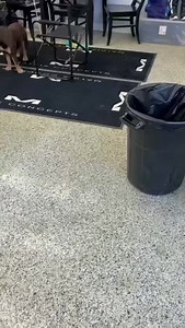 530K views · 3.5K reactions | When MotoGP and Motocross mix  “Well I was expecting something a little different when you said you would design my gear Marc Márquez but I am game for anything.. Alpinestars Lol I can’t wait to see what you and marc designed for me this weekend ” - Jett Lawrence | Pro Motocross | Facebook