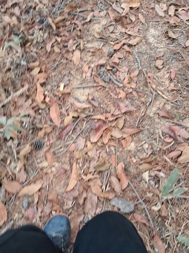 Niray🪦❤️‍🩹 (@niray922)’s videos with original sound - JEEVAN _ EDITZ 🌷🫶