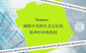 #Brainnews 【前沿快讯】Neuron：睡梦中记忆？谌小维/覃涵等合作发现睡眠中巩固社交记忆的新神经环路机制