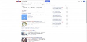 搜索引擎高级搜索方法之三：精准匹配搜索