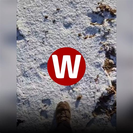 One of Wales' most famous beaches is covered in snow. | WalesOnline