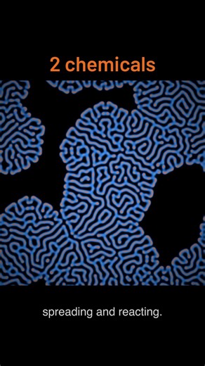 Why Stripes Appear From Nothing