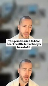 Strophanthus: The African heart remedy you’ve never heard of For centuries, this plant has been used to support heart health. So why doesn’t anyone talk about it? Tom Cowan and I dive into what this remedy could mean for heart conditions like atrial fibrillation. Episode drops soon! | NB