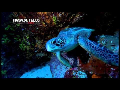 Film Imax Galapagos 3D: merveilles de la nature