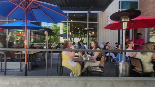 HWP (@humanwildlifeproject)’s videos with original sound - HWP