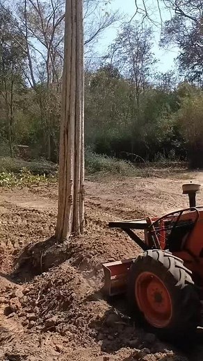 Orange Tractor Uprooting Large Tree in Rural Setting