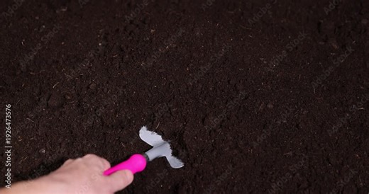 fertile soil mixed with peat and humus for various plants, part of the territory with fertile brown soil mixed with other useful elements to improve the harvest