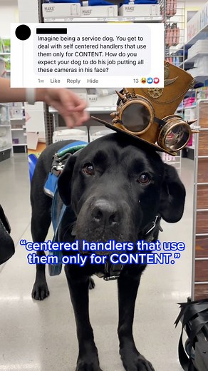 36K views · 807 reactions | hate comments i get on social media as a service dog handler! #Disabled #Disability #Dwarfism #BlackLab #BlackLabsOfFacebook #Prosthesis #Prosthetic #ServiceDog #ServiceDogsOfFacebook #Wheelchair #Viral #Hate #Comments #HateComments #Activism #Ableism #MobilityAid #Assistance #Boyfriend #Relationship #Dating #Love | Cassidy Huff | Facebook
