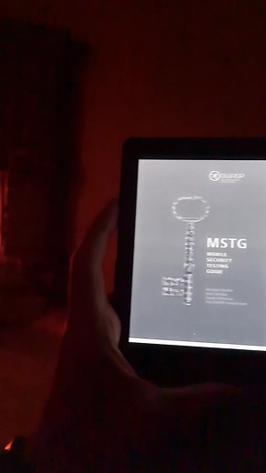 Essential Mobile Security Testing Guide for Pentesters