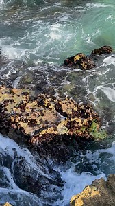 El poder del Mar | Ernestina Mac Donald