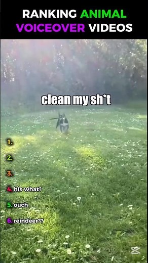 Animal Voiceovers That Sound Too Real 😂