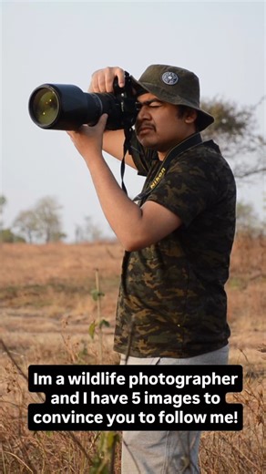 Aarya Thakar on Instagram: "Hey guys, my name is Aarya! Im a 23 year old wildlife photographer from India🇮🇳 and these are my 5 shots to convince you to follow me!📸 Do give me a follow if you like my content!! #photography #photographers_of_india #wildlifephotography #wildlife #nature #nikonphotography #nikon #viral #trendingreels #reelitfeelit #reelsinstagram #reels #explorepage #foryou"