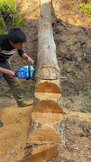7 Days of Work! Master Carpenter Makes a Giant Ladder from Tree