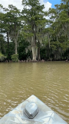 54K views · 1.4K reactions | Swamp boat rides! #louisiana #swamp #reels | Anna The Archer | Facebook