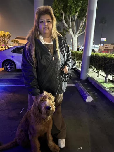 How Dogs Make the World Kinder and Softer