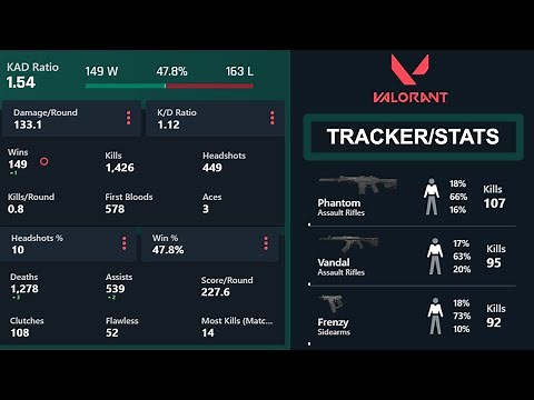Check Valorant Statistics