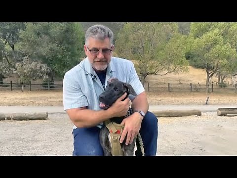 South Bay nonprofit puts animals and veterans together for mutual therapy