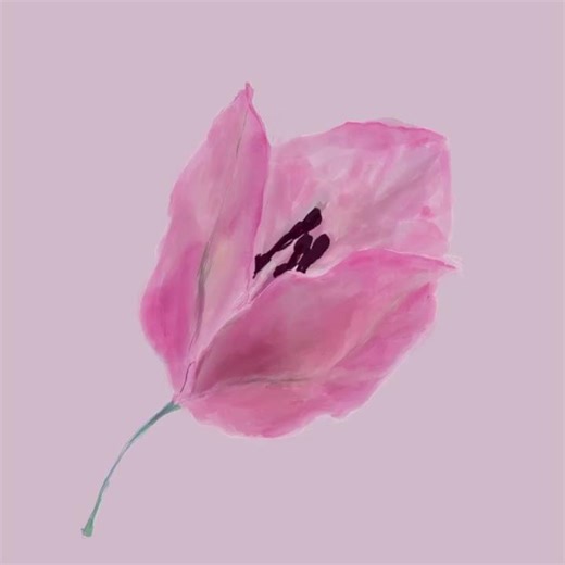 Procreateでラナンキュラスを描く。#art #illustrative #painting #illustration