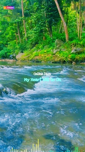 Celine Dion - My Heart Will Go On Live Perform Cover Versions #celinedion #myheartwillgoon #titanic