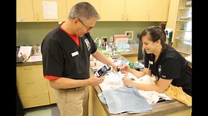 Rabbit Intubation with the vetOvation smartScope