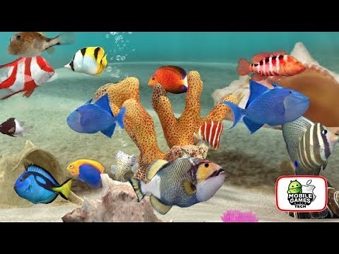 Fish Farm 3 Real Life 3D Aquarium Gameplay