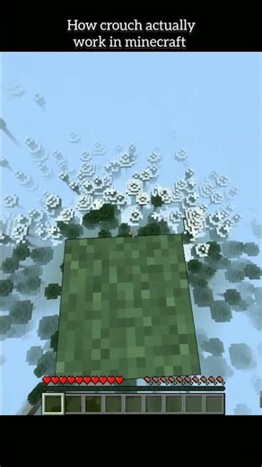 How Crouch Actually Work In Minecraft???