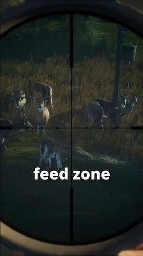 The NEW Game Feeders Are AWESOME | theHunter: Call of the Wild