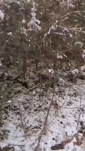 Off-roading is still on — with all-weather, all-terrain tires from Kal Tire. 🎥 @eric_morneau 📍 Hope, British Columbia 🛞 @nokiantyresna Outpost nAT #NoSnowDays | Kal Tire