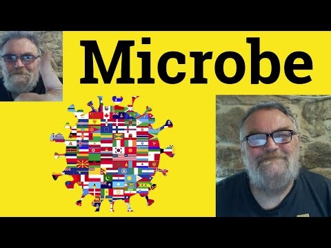 😎 Microbe Meaning . Microbe Examples - Microbe Definition - Microbe Defined - Microbe