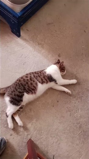 16 de diciembre de 2025