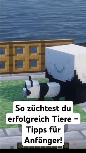 Minecraft Viehzucht ( Breeding ) Tutorial