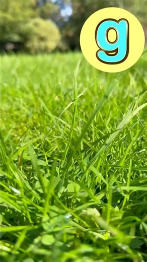 A-Z Around Town 🍀🛍️ #abcd #kidssongs #kidsvideo #song #music #kids #toddlers #explore #fun #learn