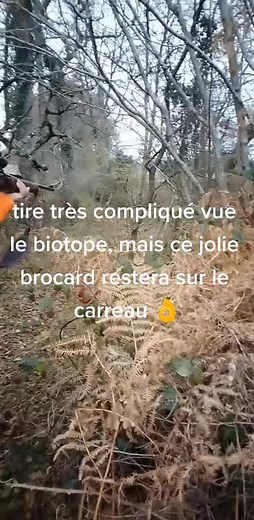 Vidéos de Mathieu Serier (@mathieuseriervstiti87) avec son original - Mathieu Serier