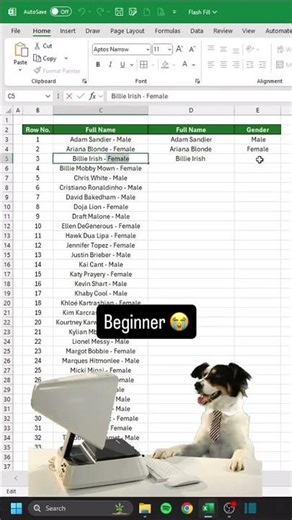 using Flash function with Ctrl + E in excel