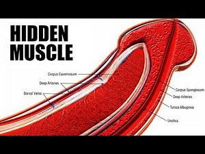Pelvic Floor Weakness? Try This Simple Routine Today