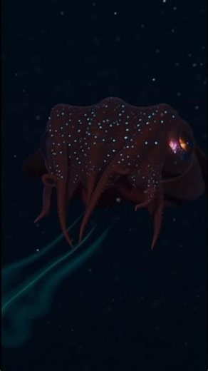 Terrifying Deep-Sea Vampire Squid | Ocean's Mysterious Creature