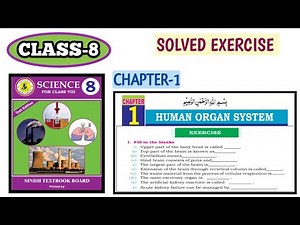 Class 8: Science Chapter 1 Exercise Solution | Human Organ System Solved Exercise | EduSindh Hub
