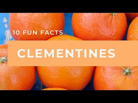 10 Fun Facts About Clementines