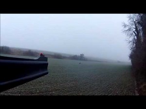 sanglier express Fair Safari 8x57 JRS Drift Ghost HD