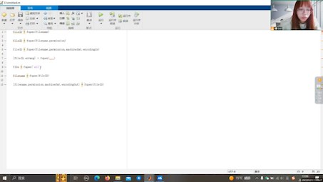 Matlab 文件的打开与关闭