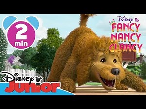 Fancy Nancy Clancy - Clip: 5 Dinge über Fränzchen | Disney Junior