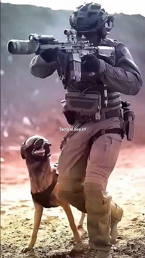 chien militaire #chien #abonnetoi