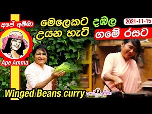 ✔ මෙලෙකට දඹල උයන හැටි ගමේ රසට Healthy Winged beans curry by Apé Amma